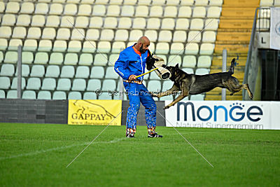 Estrellest von Vector