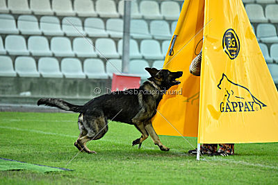 Estrellest von Vector