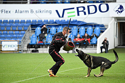 Estrellest von Vertex