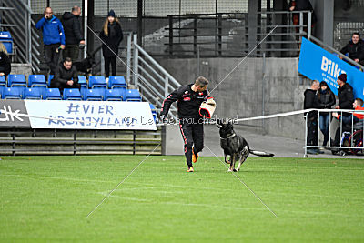 Estrellest von Vertex