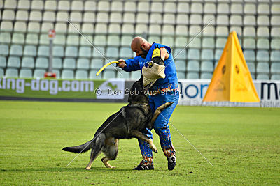 Estrellest von Vertex