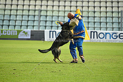 Estrellest von Vertex