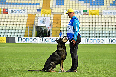 Estrellest von Vertex