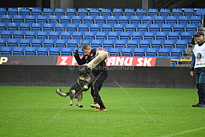 Euro II do Sadonana