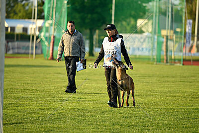 Evolution ot Vitosha