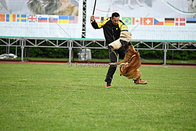 Evolution ot Vitosha