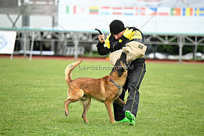 Evolution ot Vitosha