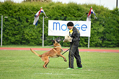 Evolution ot Vitosha