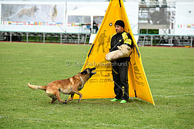 Evolution ot Vitosha