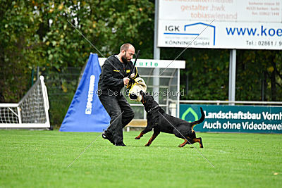 Excalibur von der Rasselbande