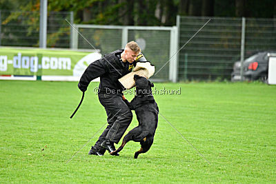 Excalibur von der Rasselbande