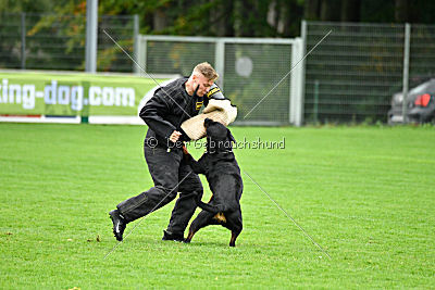 Excalibur von der Rasselbande