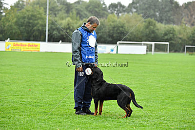 Excalibur von der Rasselbande