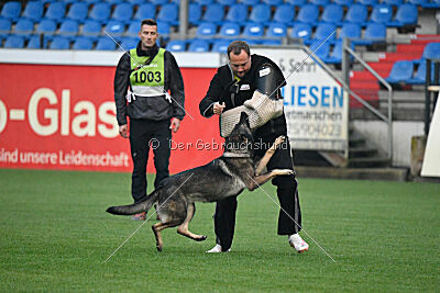 Eyota von Löwenguth
