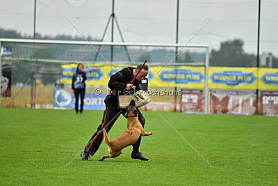 F'Nikita Lobo Grande