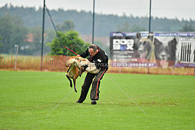 F'Nikita Lobo Grande