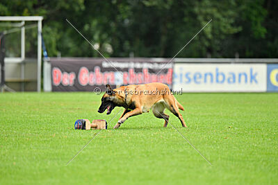F'Nikita Lobo Grande