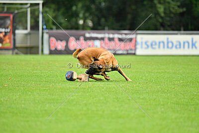 F'Nikita Lobo Grande