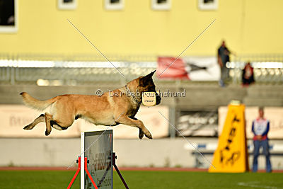 Fado vom Heustadlwasser