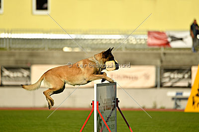 Fado vom Heustadlwasser