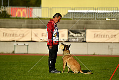 Fado vom Heustadlwasser