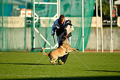 Fado vom Heustadlwasser