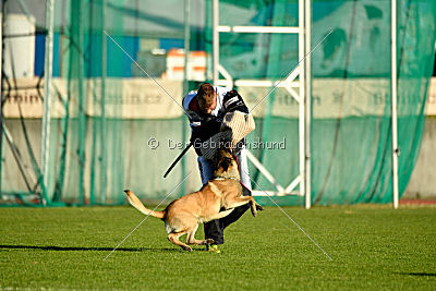 Fado vom Heustadlwasser