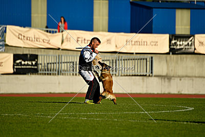 Fado vom Heustadlwasser