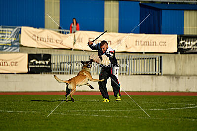 Fado vom Heustadlwasser