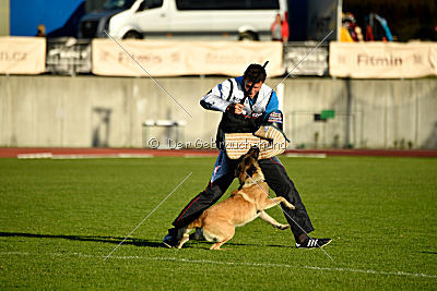 Fado vom Heustadlwasser