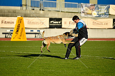 Fado vom Heustadlwasser