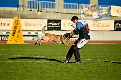 Fado vom Heustadlwasser