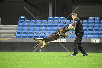 Fado vom dunklen Zwinger