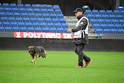 Fado vom dunklen Zwinger