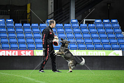 Falko Regent Rossich