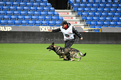 Falko Regent Rossich