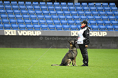 Falko Regent Rossich