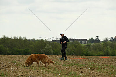 Falkrik's Starcaller