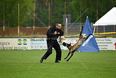 Fanny vom Lausitzeck