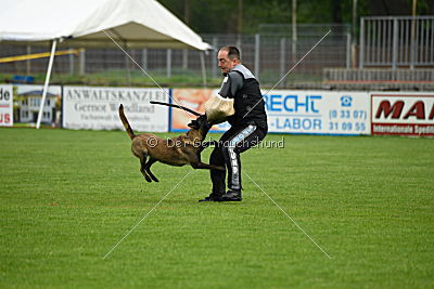 Fanny vom Lausitzeck