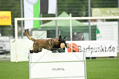 Fanny vom Lausitzeck