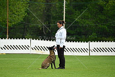 Fanny vom Lausitzeck