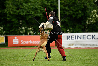 Fantessa vom Streitwald