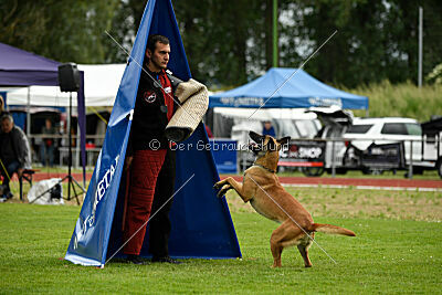 Fantessa vom Streitwald