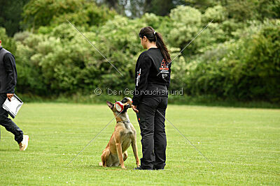 Fantessa vom Streitwald