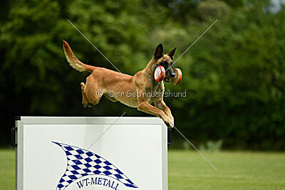 Fantessa vom Streitwald