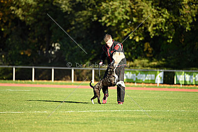 Farina vom Mesumer Land