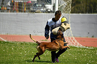 Faro Bohemia Col-Bri