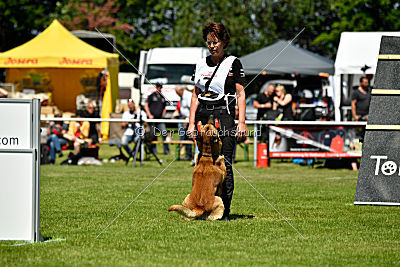 Faros vom Haus Mecki