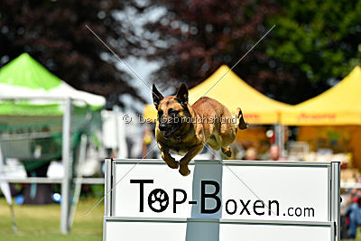 Faros vom Haus Mecki